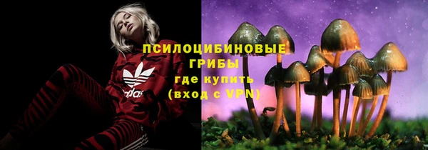 не бодяженный Бородино