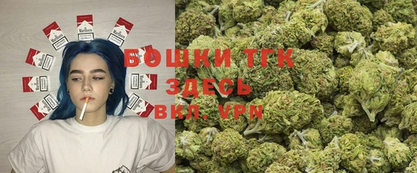 ГАЛЛЮЦИНОГЕННЫЕ ГРИБЫ Верея